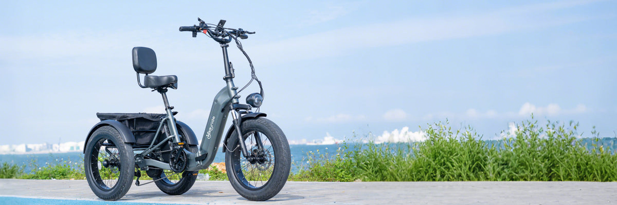 bicycle-a30