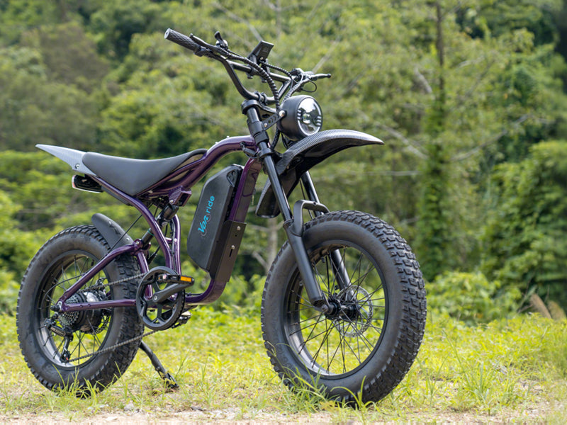 Vonride
