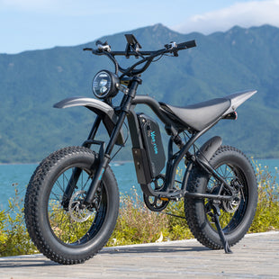 Vonride Electric Bicycle Aluminum Alloy Electric Bicycle A6