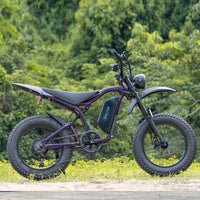 Vonride Electric Bicycle Aluminum Alloy Electric Bicycle A6